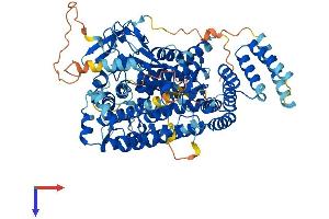 AlphaFold protein structure predicition of Mouse Recombinant Smyd4 Protein, UniprotID Q8BTK5