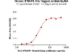 ELISA image for Interferon alpha/beta Receptor 1 (IFNAR1) (AA 28-436) protein (His tag) (ABIN6964273)