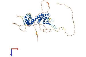 AlphaFold protein structure predicition of Mouse Recombinant Btbd10 Protein, UniprotID Q80X66 (BTBD10 Protein (AA 1-475) (His tag))