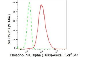 Flow cytometric analysis of Phospho-PKC alpha (T638) expression in HeLa cells using Phospho-PKC alpha (T638) antibody (ABIN7799987), 1:2,000).