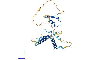 Protein Structure (PS) image for Lin-37 Homolog (LIN37) (AA 1-246) protein (His tag) (ABIN7561130)