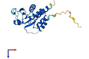 DUSP13 Protein (AA 1-188) (His tag)