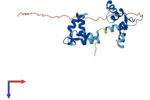 AlphaFold protein structure predicition of Mouse Recombinant Myl10 Protein, UniprotID Q62082 (MYL10 Protein (AA 1-202) (His tag))