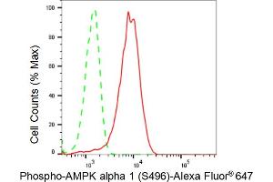 Flow cytometric analysis of Phospho-AMPK alpha 1 (S496) expression in HeLa cells using Phospho-AMPK alpha 1 (S496) antibody (ABIN7800008), 1:2,000).