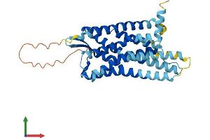 AlphaFold protein structure predicition of Mouse Recombinant Npbwr1 Protein, UniprotID P49681