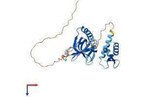 RPA4 Protein (AA 1-261) (His tag)