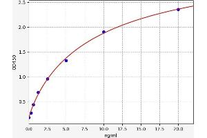Typical standard curve (Caspase 3 ELISA Kit)
