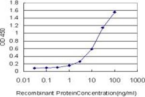 Detection limit for recombinant GST tagged DSE is approximately 0. (DSE Antikörper  (AA 574-673))