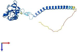 RNF151 Protein (AA 1-245) (His tag)