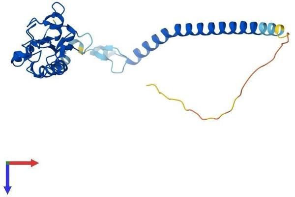 RNF151 Protein (AA 1-245) (His tag)
