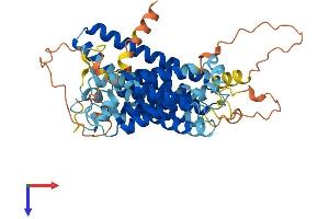SERINC3 Protein (AA 1-473) (His tag)