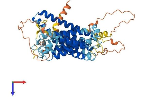 SERINC3 Protein (AA 1-473) (His tag)