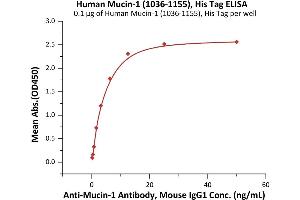Immobilized Human Mucin-1 (1), His Tag (ABIN6938929,ABIN6950989) at 1 μg/mL (100 μL/well) can bind A-1 Antibody, Mouse IgG1 with a linear range of 0.