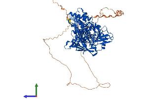 Protein Structure (PS) image for Lysine (K)-Specific Demethylase 1A (KDM1A) (AA 1-853) protein (His tag) (ABIN7564169)
