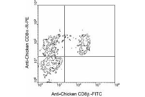 Flow Cytometry (FACS) image for anti-CD8b Molecule (CD8B) antibody (FITC) (ABIN371368) (CD8B Antikörper  (FITC))