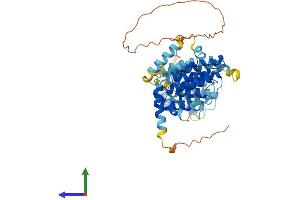 AlphaFold protein structure predicition of Human Recombinant MROH8 Protein, UniprotID Q9H579