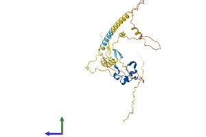 Protein Structure (PS) image for CXXC Finger Protein 5 (CXXC5) (AA 1-317) protein (His tag) (ABIN7560024)