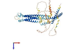 Tricellulin Protein (MARVELD2) (AA 1-555) (His tag)