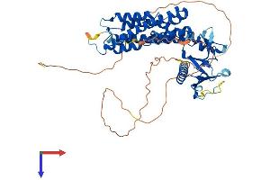 ARHGEF3 Protein (AA 1-524) (His tag)