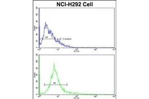 Flow cytometric analysis of NCI- cells using ALKBH8 Antibody (C-term)(bottom histogram) compared to a negative control cell (top histogram).