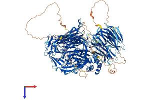 CPSF1 Protein (AA 1-1441) (His tag)