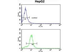 Flow Cytometry (FACS) image for anti-Cytochrome P450, Family 2, Subfamily E, Polypeptide 1 (CYP2E1) antibody (ABIN3003847)