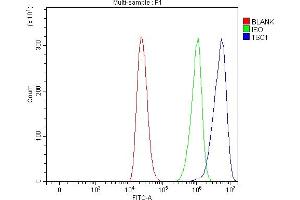 Flow Cytometry analysis of THP-1 cells using anti-Hamartin/TSC1 antibody (ABIN7599499). (TSC1 Antikörper  (AA 1-618))