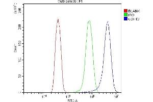 Flow Cytometry analysis of HELA cells using anti-H Cadherin/CDH13 antibody (ABIN7600095). (Cadherin 13 Antikörper  (AA 149-692))