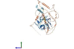 AlphaFold protein structure predicition of Human Recombinant ZNF510 Protein, UniprotID Q9Y2H8