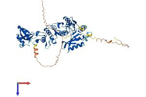 TRMT5 Protein (AA 1-501) (His tag)