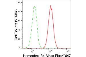 Flow cytometric analysis of homeobox B4 expression in HAP-1 cells using homeobox B4 antibody (ABIN7798992), 1:2,000). (Rekombinanter HOXB4 Antikörper)