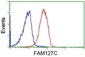 Flow cytometric Analysis of Jurkat cells, using anti-FAM127C antibody (ABIN2454041), (Red), compared to a nonspecific negative control antibody, (Blue). (FAM127C Antikörper)