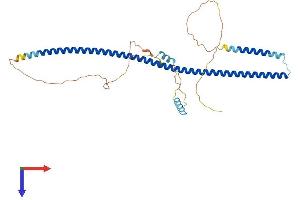 GORAB Protein (AA 1-368) (His tag)