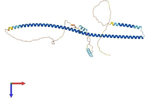 GORAB Protein (AA 1-368) (His tag)