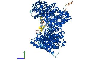Protein Structure (PS) image for Importin 13 (IPO13) (AA 1-963) protein (His tag) (ABIN7564613)