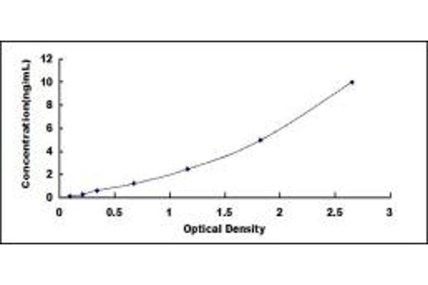 eEF1A1 ELISA Kit