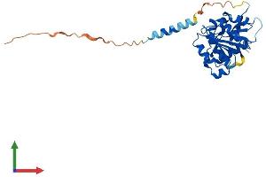 Protein Structure (PS) image for Abhydrolase Domain Containing 14A (ABHD14A) (AA 1-271) protein (His tag) (ABIN7551766)