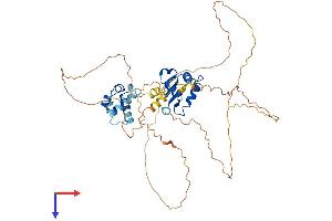 ERG Protein (AA 1-486) (His tag)