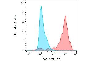 Surface staining (flow cytometry) of GCPII / PSMA using anti-GCPII (GCP-05) PE on LNCaP cell line. (PSMA Antikörper  (AA 44-750) (PE))