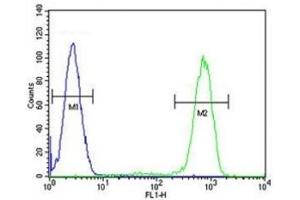 Flow Cytometry (FACS) image for anti-Caspase 12 (Gene/pseudogene) (CASP12) (AA 165-193) antibody (ABIN3030291)