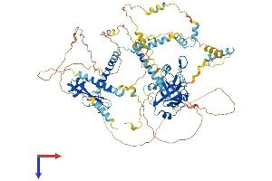 MCM10 Protein (AA 1-885) (His tag)