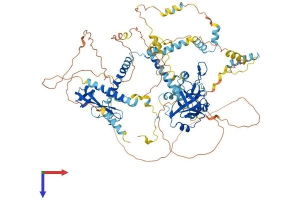MCM10 Protein (AA 1-885) (His tag)