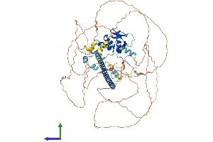 Protein Structure (PS) image for BTB and CNC Homology 1, Basic Leucine Zipper Transcription Factor 1 (BACH1) (AA 1-736) protein (His tag) (ABIN7552508)