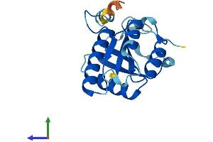 Protein Structure (PS) image for Centromere Protein M (CENPM) (AA 1-180) protein (His tag) (ABIN7560522)