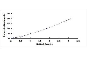 Typical standard curve (14-3-3 zeta ELISA Kit)