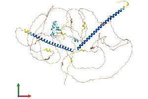 Protein Structure (PS) image for Retinoblastoma Binding Protein 8 (RBBP8) (AA 1-897) protein (His tag) (ABIN7553536)