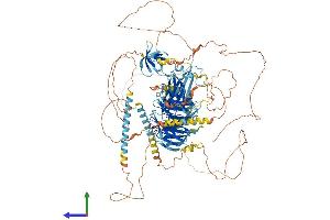 AlphaFold protein structure predicition of Human Recombinant AHI1 Protein, UniprotID Q8N157