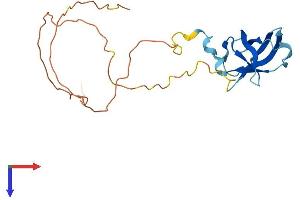 GAR1 Protein (AA 1-217) (His tag)