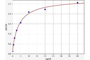 COL2A1 ELISA Kit