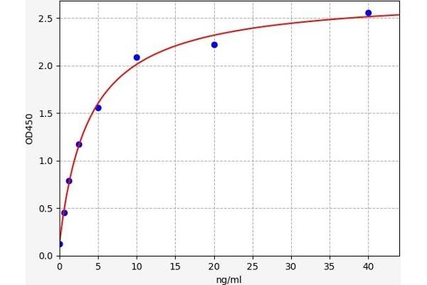 COL2A1 ELISA Kit